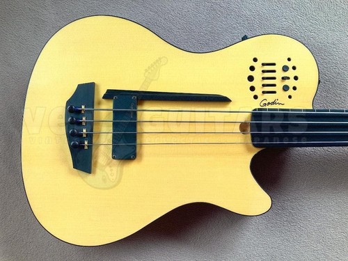Godin ultra fretless - ultra,