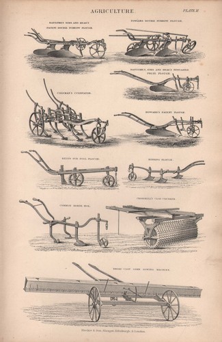 1874 print agriculture - 1874, ~