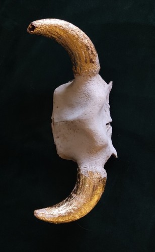 Corne taureau trophée - trophée, de