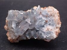 Célestine , Oppedette , Alpes-de-Haute-Provence , France