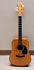 Jasmine by Takamine S35