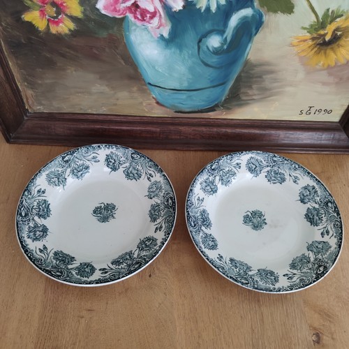 Magnifiques assiettes - 2,