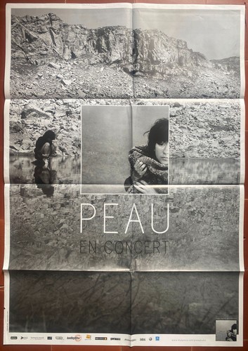 Affiche concert peau - concert, en