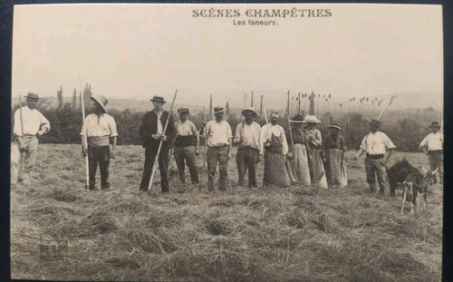 Carte postale scène