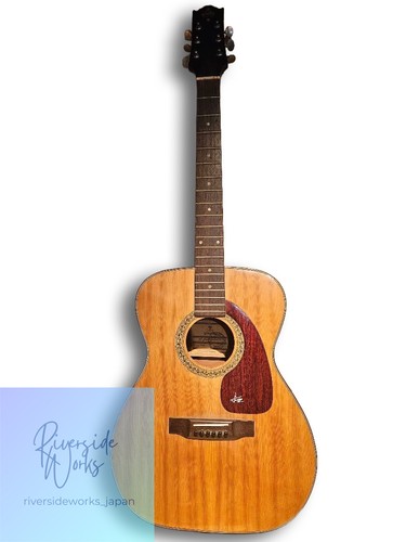 Takeharu ft100 acoustic - ft100, guitar