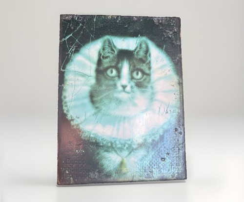 Sid dickens 282 - sid,