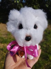 DISPONIBLE Chien Bichon au