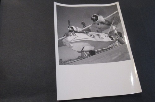 Photo avion consolidated - photo, pby