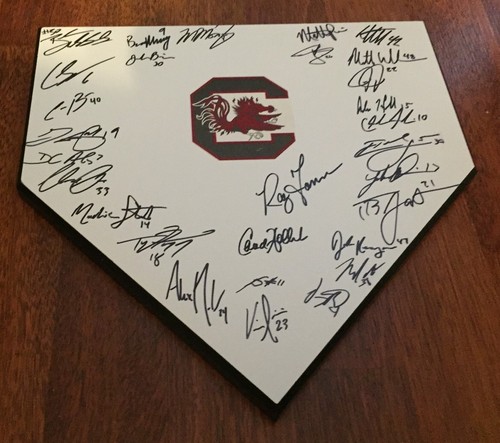 2016 south carolina gamecocks - south,