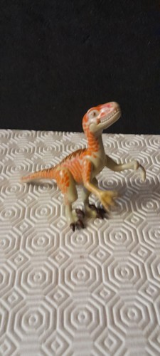 Animal dinosaure velociraptor - animal,