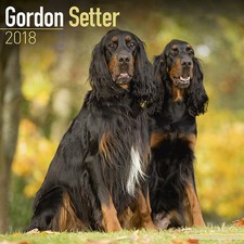 Calendrier 2018 - SETTER