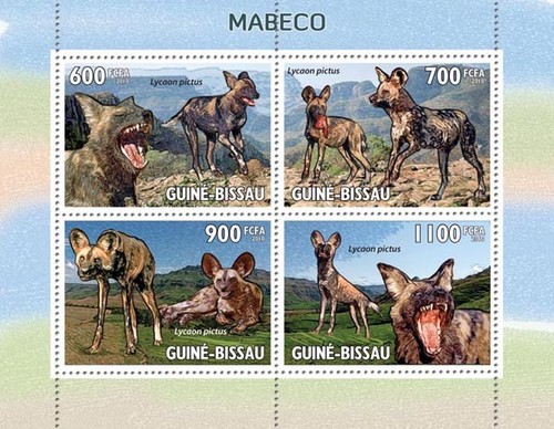 Guinea bissau wild dogs - guinea-bissau-wild, mabec
