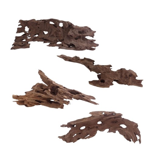 Aquaone honey comb racine - comb,