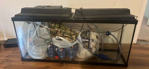 Gallon aquarium fully - 🐠,