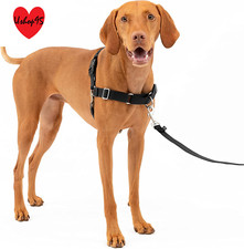 Harnais Easy Walk Avec Boucle Anti-Traction Et Laisse De 1,8 M, Promenade Confor