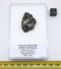 Météorite Campo del Cielo