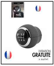 Pommeau levier 6 vitesses POUR