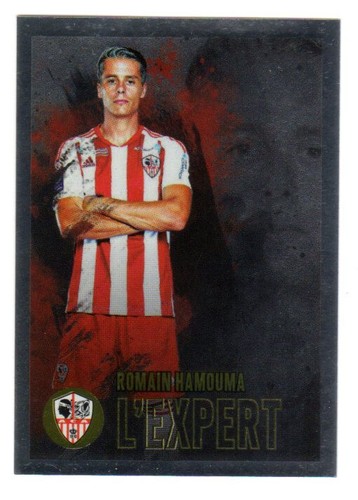 Sticker panini foot 2023 ligue - sticker,