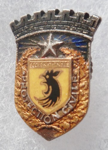 Insigne boutonnière ecole - insigne,