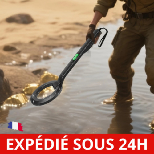 Détecteur métaux - de,