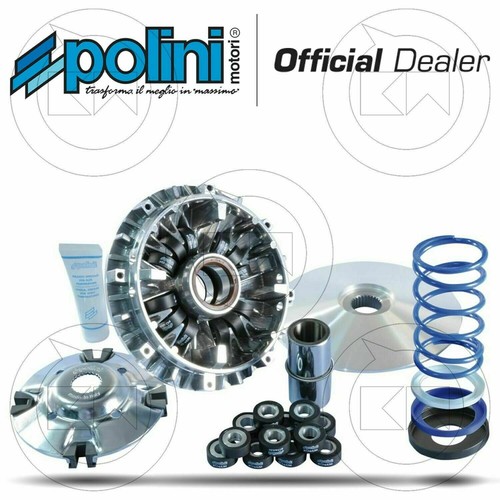 Polini 241696 variateur - polini,