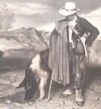 Cochon Truffier Périgord