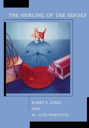 Barry stein alex - barry, m.