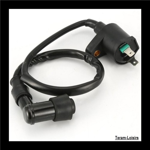 Bobine allumage antiparasite - allumage,