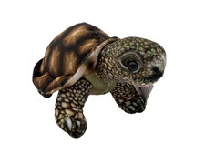 Doudou Terre Tortue Reptile