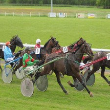 Méthode de TURF:  VALI-MAX de J.-C. Graton  (Egra, Courses, PMU)