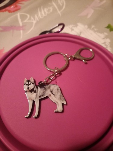 Porte clef husky - porte,