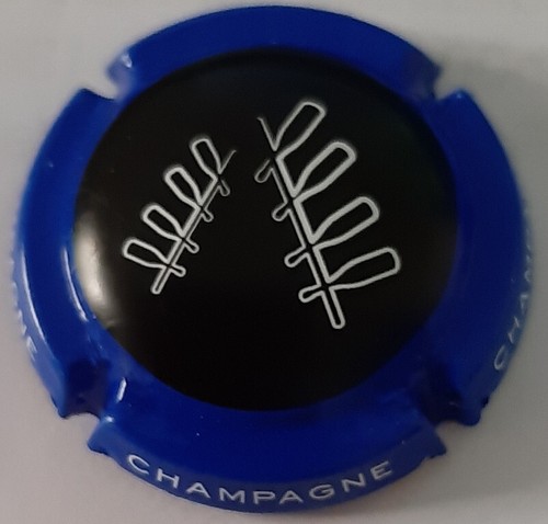 Capsule champagne - capsule,