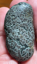 Variolite 47 mm roche