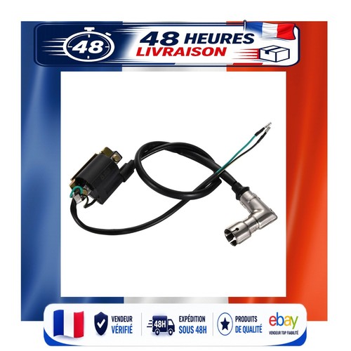 Bobine allumage goofit 50cc - d'allumage,