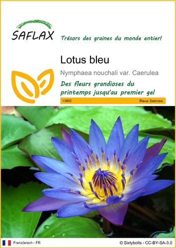 Saflax graines lotus bleu - -,