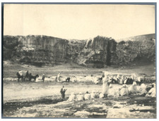 Tunisie, Fantasia El Kef  Vintage print. Ecriture au dos Tirage platine  12x