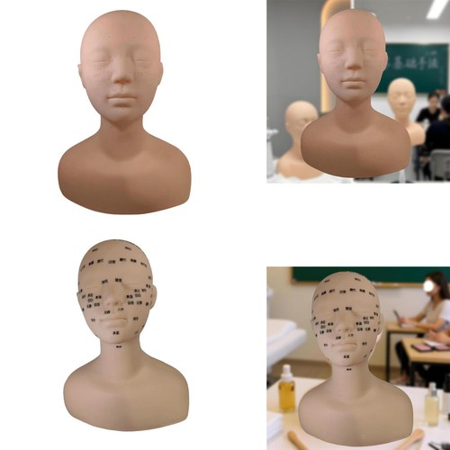 Tête mannequin - tête,