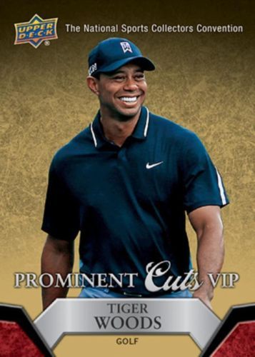 Tiger woods 2014 - tiger,