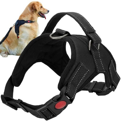 Harnais pour chien sans