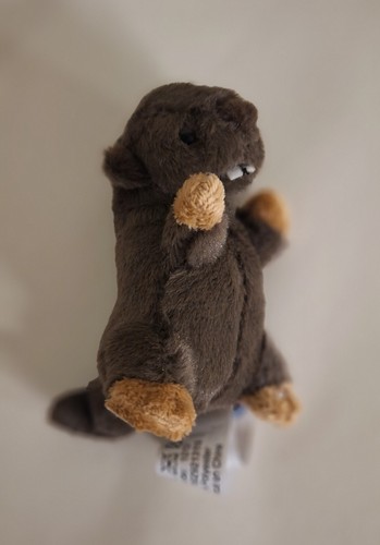 Peluche marmotte dans - marmotte,