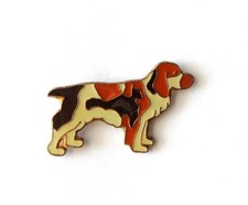 RNT F/ Pin's Atlas Chien