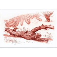 CARRANCE Raymond - Lithographie originale sur soie "Le vieux bois" 40x59cm