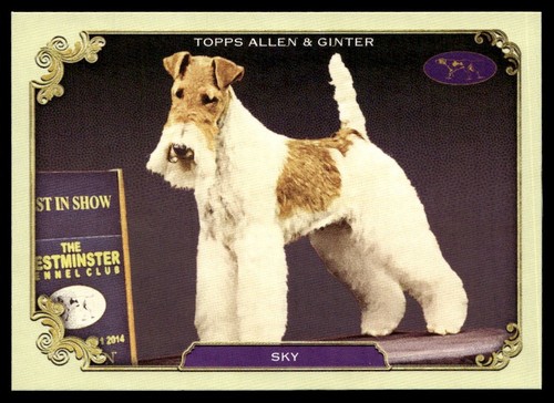 2024 topps allen ginter - allen,