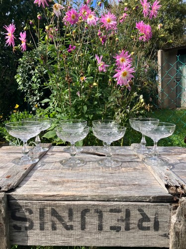 Coupes champagne - coupes,