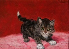 tableau ancien chat