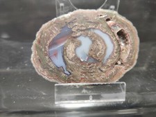 CRIS 50N OLD STOCK DEMIE LITHOPHYSE POLIE MASSIF DE L'ESTEREL VAR FRANCE 78G