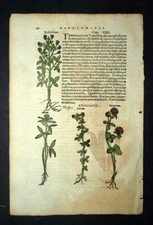 Gravure estampe ancienne