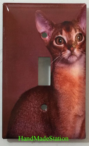 Abisinio cat toggle rocker - toggle,