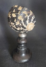 Cabinet de Curiosités