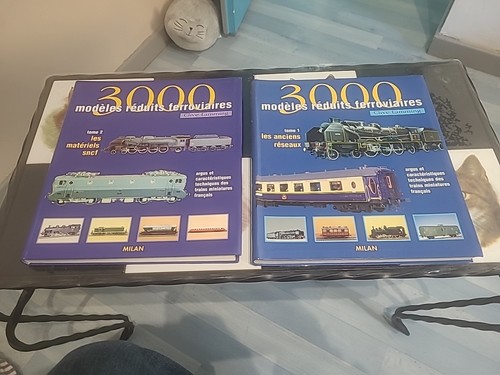 3000 modèles réduits